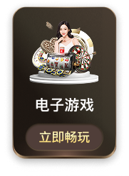 电子游戏